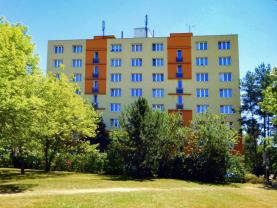 Prodej, byt 2+1, 58 m2, OV, Plzeň, ul. Skupova