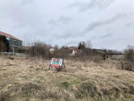 Prodej, stavební pozemek, 1006 m2, Nedabyle