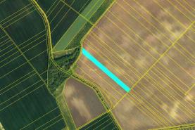 Prodej, orná půda, 1000 m2, Žatčany
