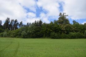 Prodej, les, 6316 m2, Leskovec