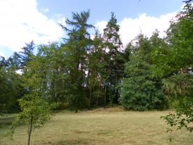 Prodej, les, 24097 m2, Hradiště- Bezděkov