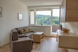 Prodej, byt 2+kk, 42 m2, Všemina