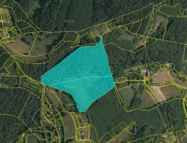 Prodej, les, 48.763 m2, Oznice