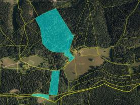 Prodej, les, 72.825 m2, Valašská Bystřice