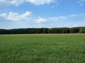 Prodej, stavební pozemky, 28991 m2, Hradišťský újezd