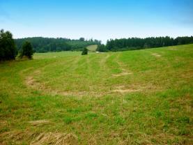 Prodej, pozemek 6000 m2, louka 25107 m2, Oborná