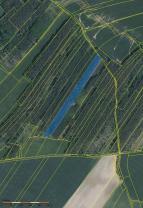 Prodej, les, 18.594 m2, Velký Borek
