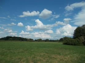 Prodej, louka, 16346 m2, Heřmanův Městec