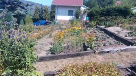 Prodej, zahrada 750 m2, Ústí nad Labem - Církvice