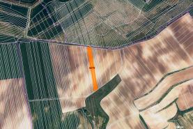 Prodej, orná půda, 1450 m2, Želetice u Kyjova