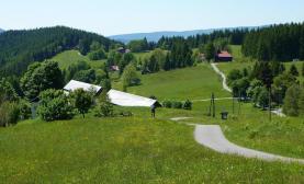 Prodej, lesní pozemek, 3399 m2, Staré Hamry