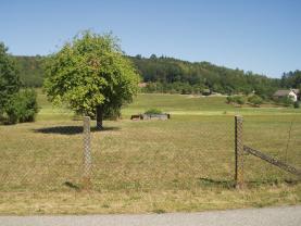 Prodej, stavební parcela, 2962 m2, Dobruška - Běstviny