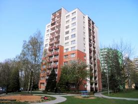Prodej, byt 1+kk, 31m2, Ostrava - ulice Petruškova