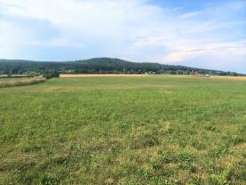 Prodej, pozemek, 6 243 m2, Strašice, okres Rokycany