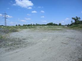 Prodej, pozemek, 15700 m2, Staříč