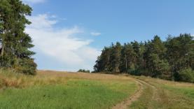 Prodej, pole, 14554 m2, Horažďovice - Komušín