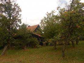 Prodej, pozemek, 123478 m2, Cotkytle - Janoušov