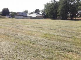 Prodej, stavební pozemek, 1500 m2, Počátky