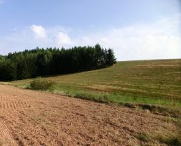 Prodej, pole, Nová Ves nad Popelkou