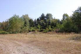 Prodej, stavební pozemek, 643 m2, Nelahozeves
