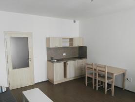 Prodej, byt 1+kk, 31 m2, Olomouc, ul. Novosadský dvůr