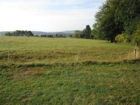 Prodej, pole, 7000 m2, Aš
