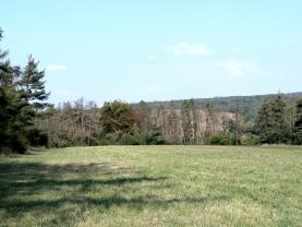 Prodej, les, 10183 m2, Černín