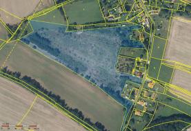 Pronájem, pozemek, 42.294 m2, Kynšperk nad Ohří - Štědrá