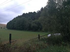 Prodej, louka, 4110 m2, Březí u Žinkov