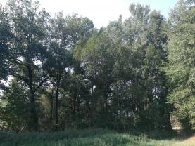 Prodej, trvalý travní porost, 1439 m2, Žinkovy