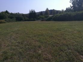 Prodej, trvalý trávní porost, 6814 m2, Žinkovy