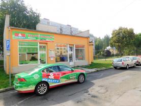 Pronájem, neb. prostor,105 m2, Kraslice,ul. Svatopluka Čecha