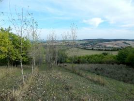 Prodej, louka, 3745 m2, Klobouky u Brna