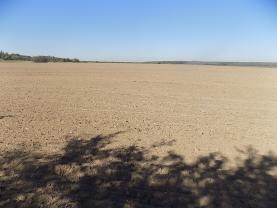 Prodej, pole, 4960,5 m2, Struhy