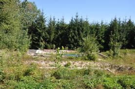 Prodej, stavební parcela, 1259 m2, Slatina nad Zdobnicí