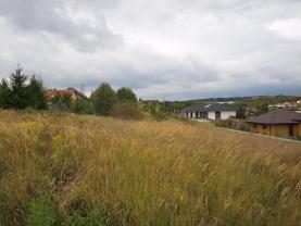 Prodej,stavební pozemek, 558 m², Tlučná