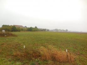 Prodej, pozemek, 3429 m2, Dolní Ředice
