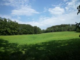 Prodej, pole, 9822 m2, Letovice, ul. Brahmsova