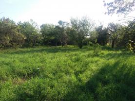 Prodej, stavební pozemek, 768 m2, Brno - Tuřany