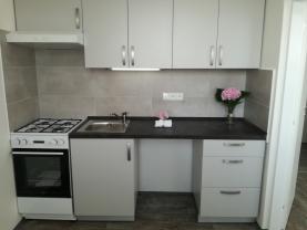 Flat 2+1 for rent, 44 m2, Ostrava-město, Ostrava, Františka Formana