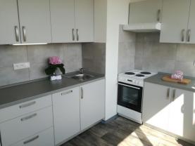 Flat 1+1 for rent, 36 m2, Ostrava-město, Ostrava, Dr. Martínka