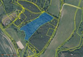 Prodej, les, 14971 m2, Radvanec