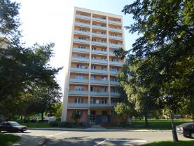 Pronájem, byt 1+kk, 19 m2, Opava - Předměstí