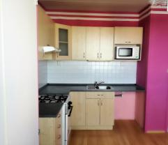 Prodej, byt, 1+1, 40m2, Plzeň,ul. U Jam