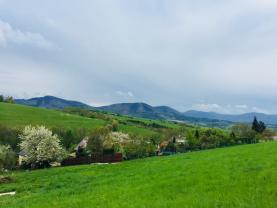 Prodej, louka, 7805 m2, Palkovice