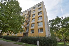Pronájem, byt 1+1, Hradec Králové, ul. Selicharova