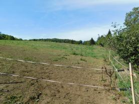 Prodej, stavební parcela, 5000 m2, Bystřany, ul. V Semaji