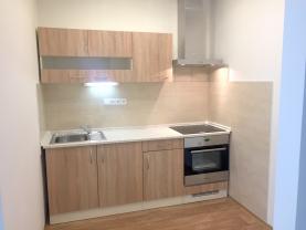 Pronájem, byt 1+kk, 30 m2, Hlučín, ul. Pode Zdí