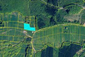 Prodej, louka, 7804 m2, Stupava