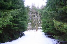 Prodej, zahrada, 327 m2, Klokočov